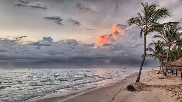 Best Beaches in Martinique Island