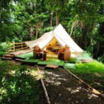 ECOLIBRY Glamping Hébergement insolite