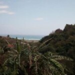 Land With Sea View For Sale In Schoelcher