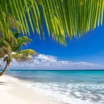 Le Morne Rouge Martinique