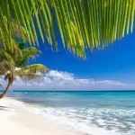 Les Anses-d’Arlet: A Postcard-Perfect Fishing Village